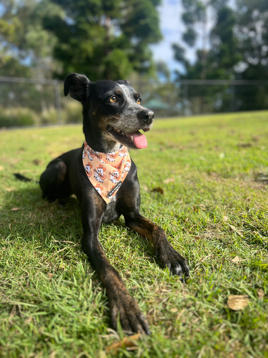 Cowboy Ghost Bandana